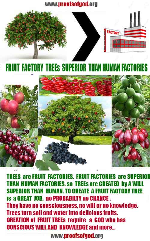 proofs of god, evidences of god  